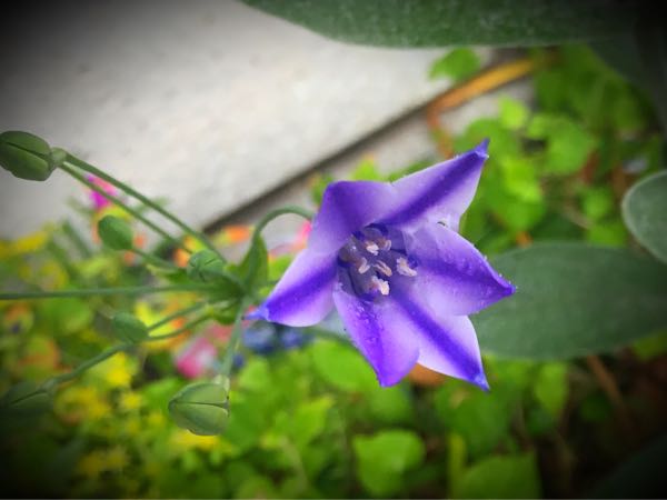 rblog-20160530190925-06.jpg