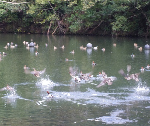 2014_1210_123119-IMGP3440.JPG
