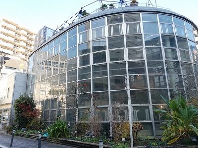 日本一小さな植物園 渋谷区ふれあい植物センター Everyday Is A Happyday 楽天ブログ