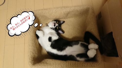 rblog-20180927202416-01.jpg