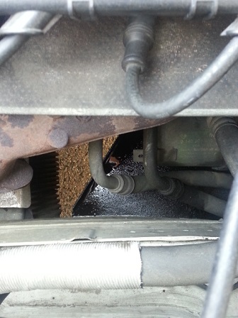 20130428_110007.jpg