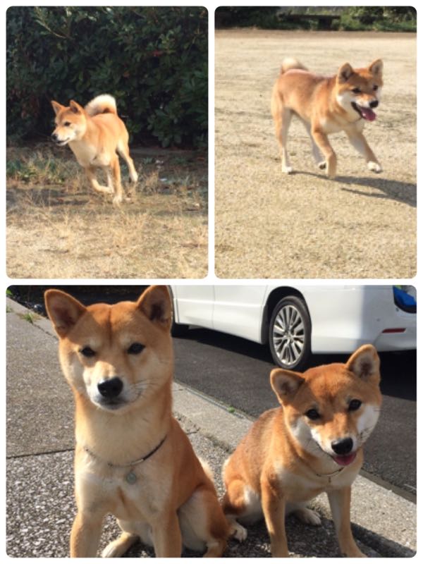 rblog-20151115190146-02.jpg
