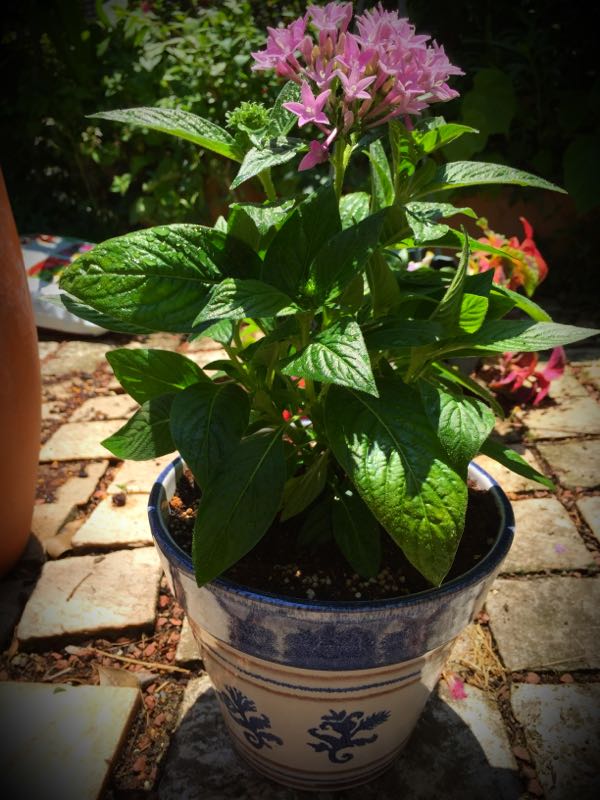 rblog-20150531144126-01.jpg