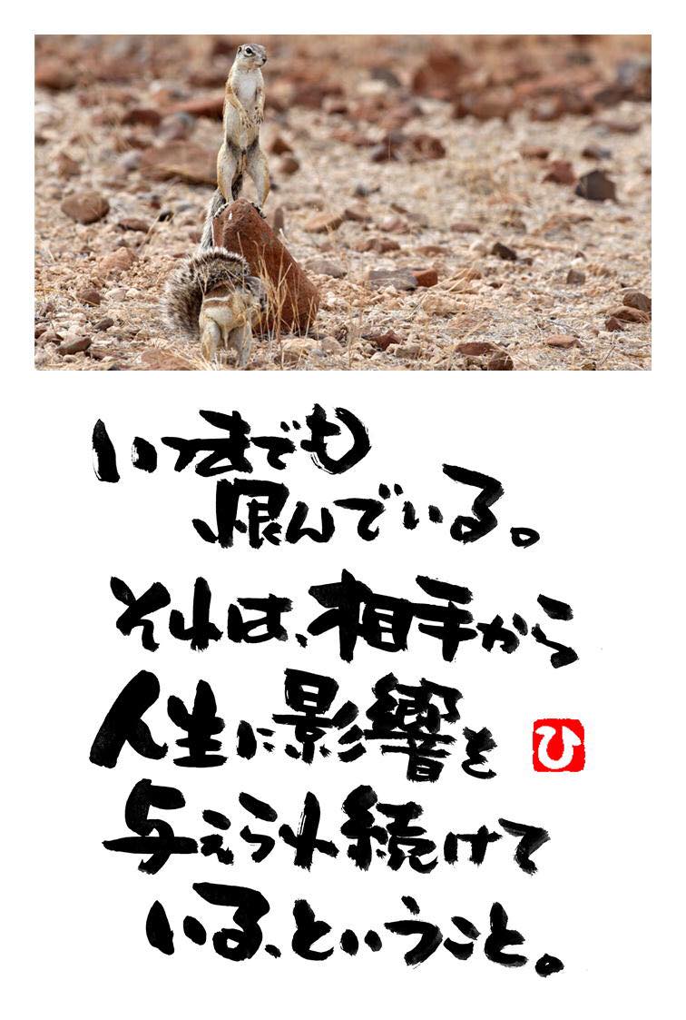 いつまでも恨むな 人生訓 みやひょんの青春真っ盛り 楽天ブログ