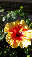 rblog-20130616160846-01.png