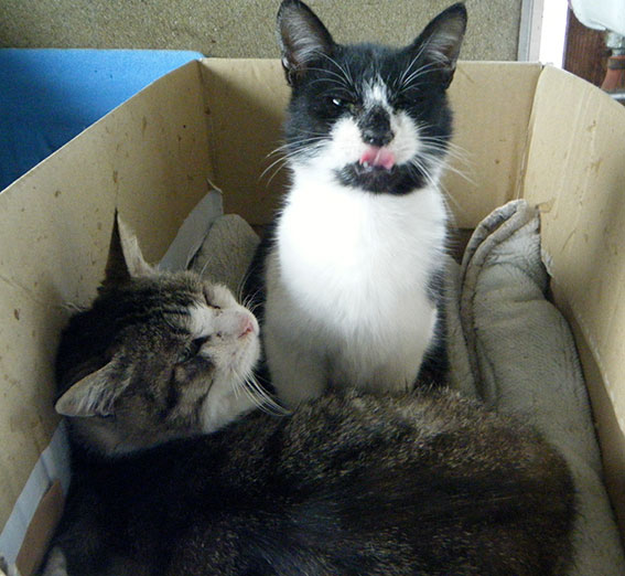 我が家の2015/1/2-3