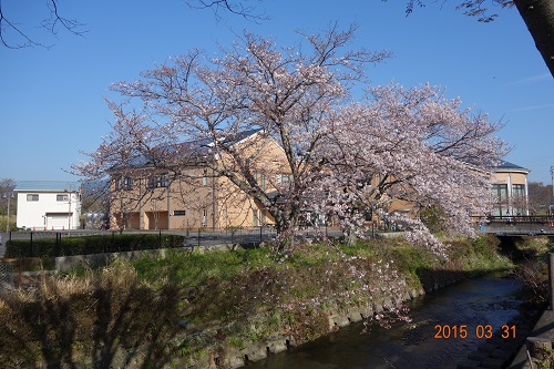 DSC02103.JPG