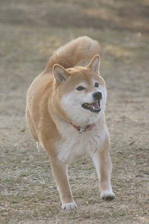 DSC00245.jpg