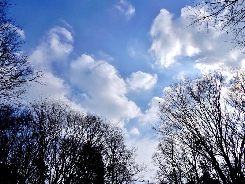 空4