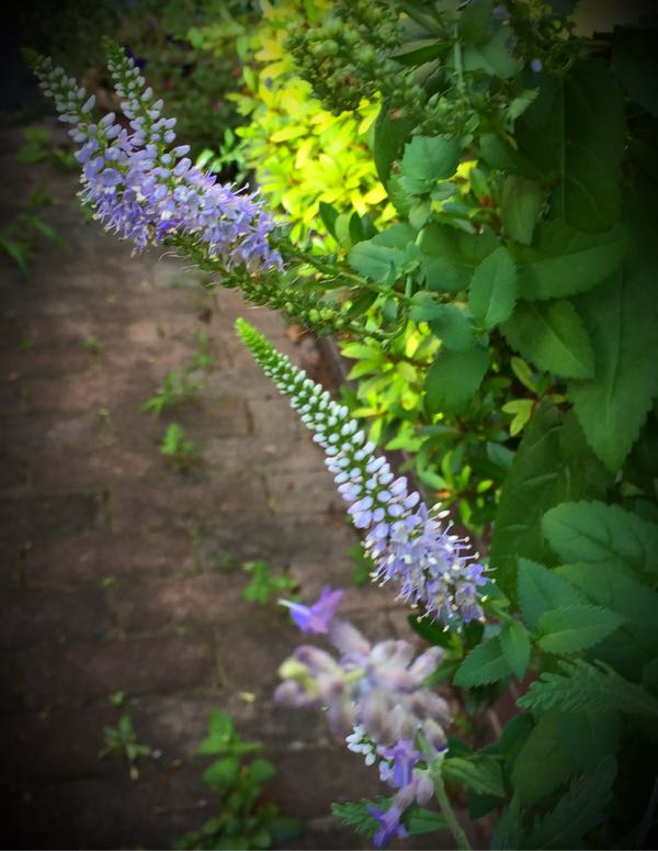 rblog-20160825165128-04.jpg