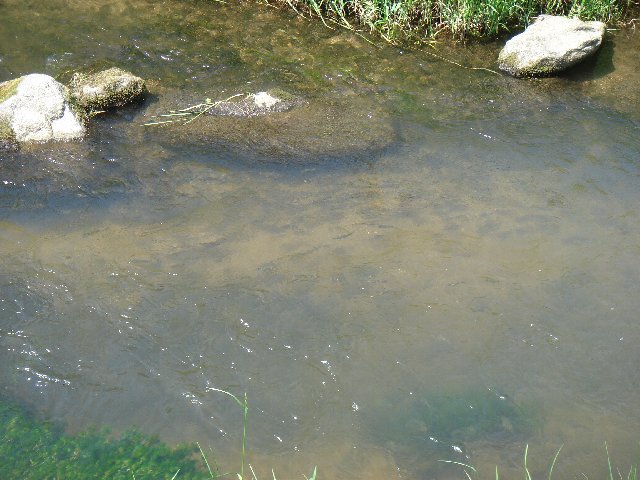 170520 11.jpg