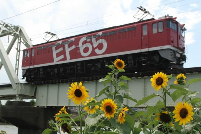 EF65 1118 国府津 ロングチキ工臨 返却と ヒマワリ2