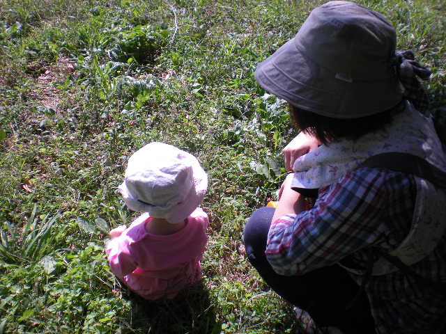 DSCN0725.JPG