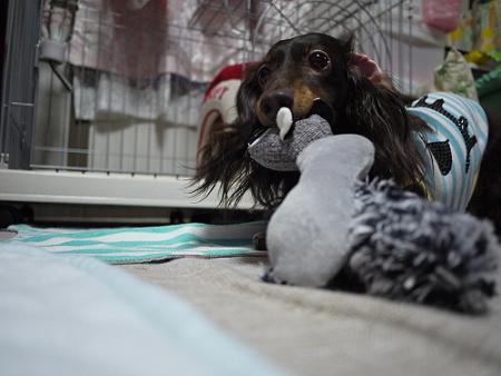 P1030541.JPG