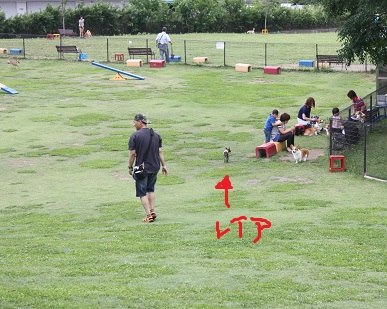 ドッグラン2.jpg