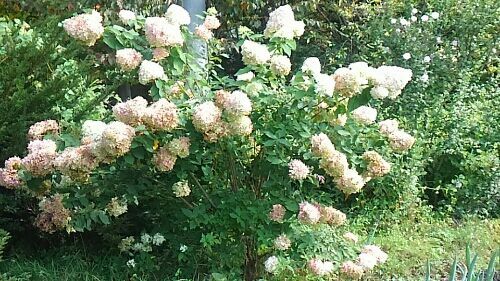 rblog-20170925100724-01.jpg
