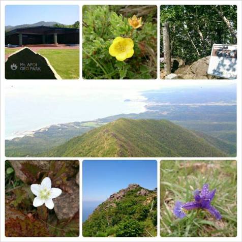 様似町アポイ岳