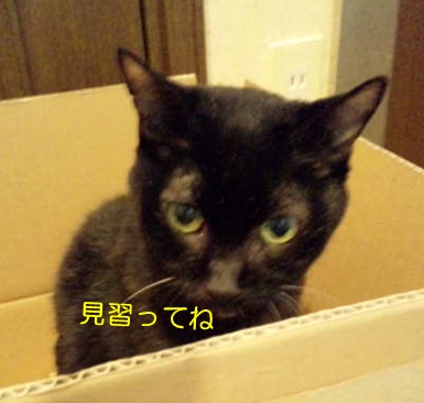 20120812_3.jpg