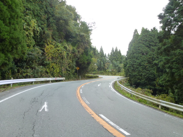 P1140044.JPG