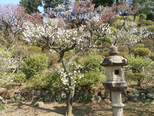 池上梅園