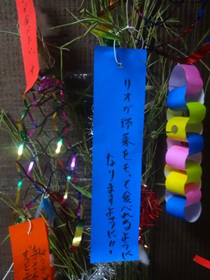 012_R.JPG