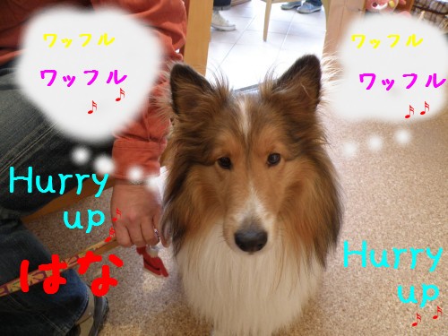はな.JPG