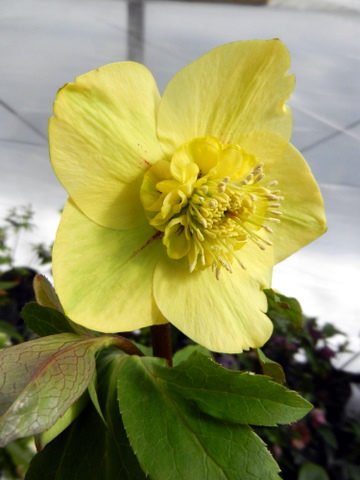 DSCN0720.JPG