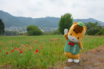 藤岡4.jpg