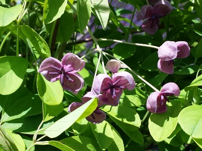 20160429_131930 (400x300).jpg