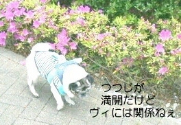 012.JPG