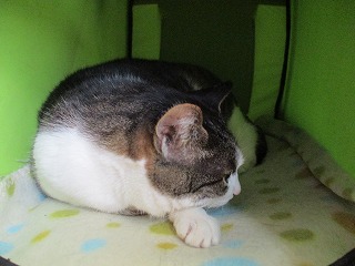 IMG_6197ss.jpg