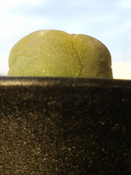 rblog-20171216101716-08.jpg