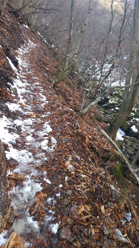 両神山 登山 2月4日 登ってみた。 | 家一軒を解体してみたら いろいろやってみたくなる - 楽天ブログ
