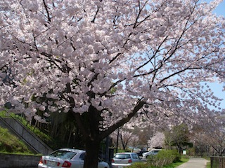 DSCN3825.JPG