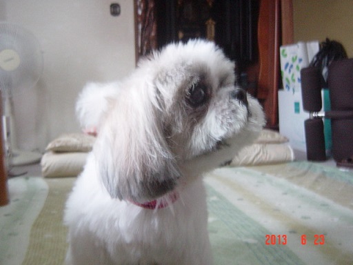 DSC01137.JPG
