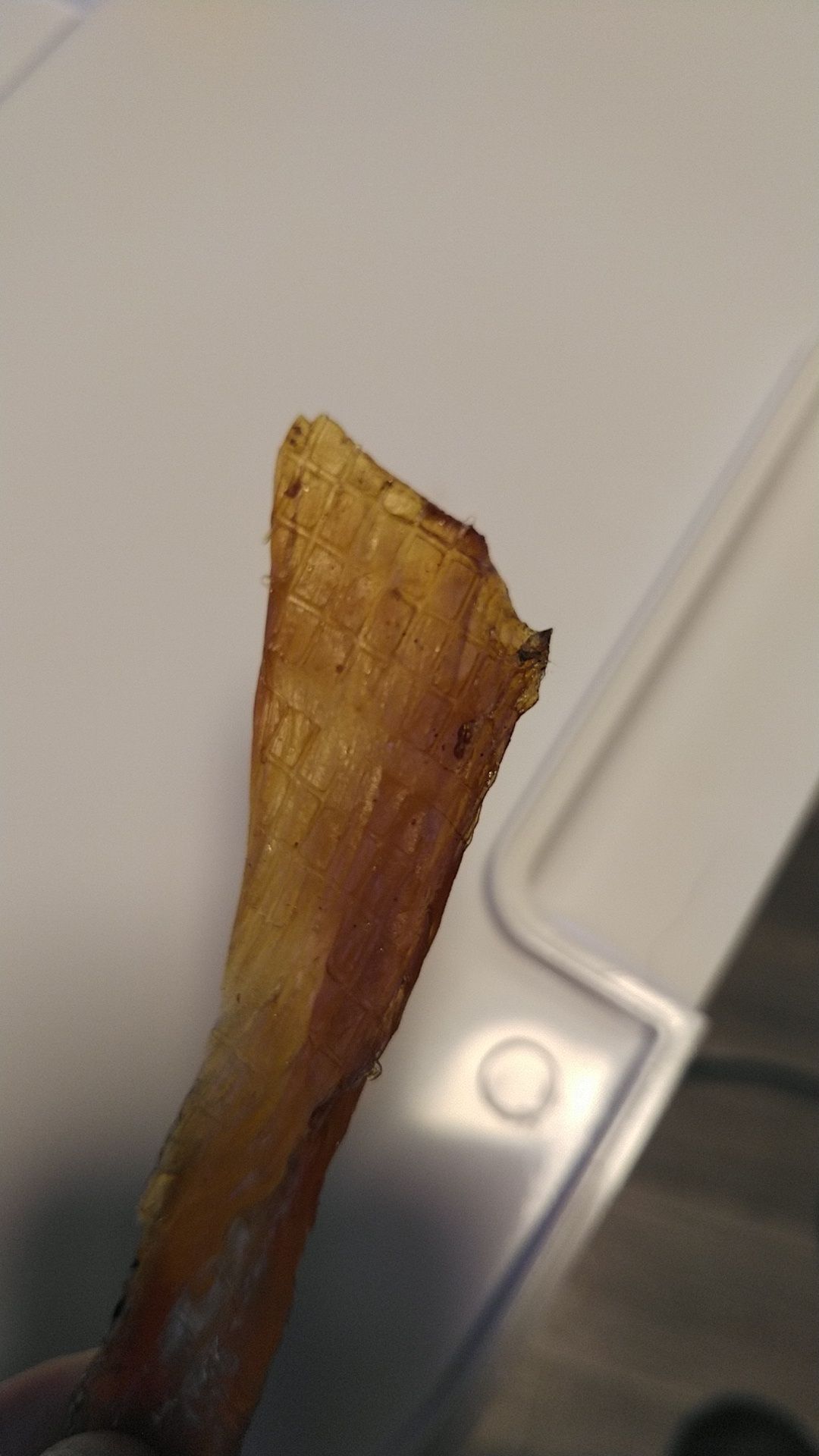 フードドライヤー 恐るべし プチマレンギでジャーキー 最近 万年筆に興味がありまして 文具と犬のブログ 楽天ブログ