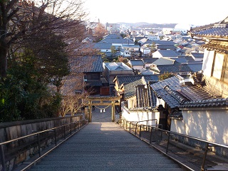 DSC_2278.JPG