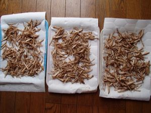 9.26 goboutya kannsoutyuu.jpg