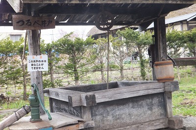 DSCF3374.jpg