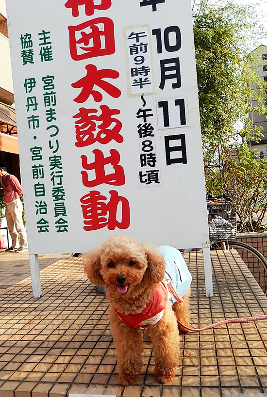 こころ１２－１