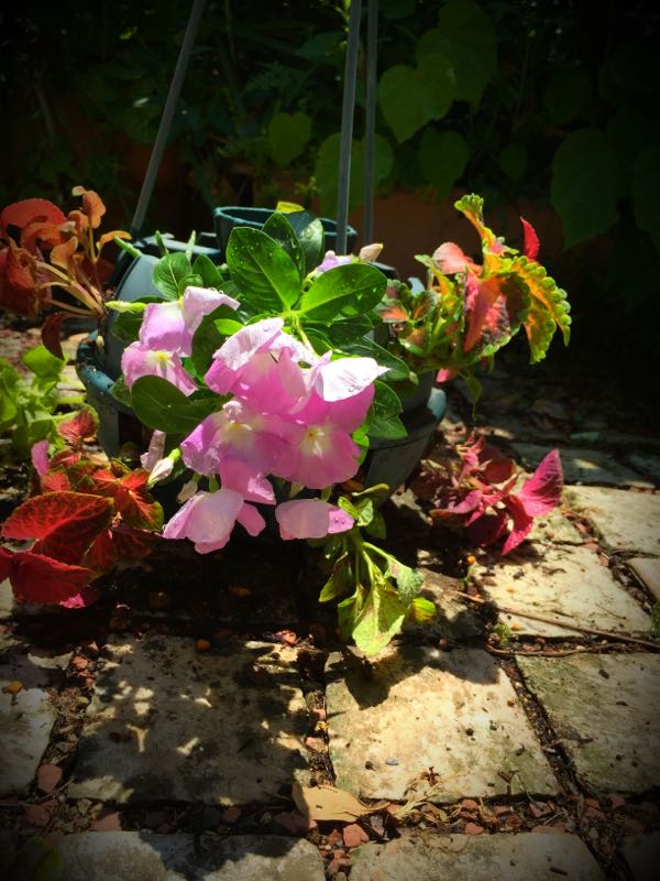 rblog-20150531143935-02.jpg