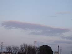 2016_0320_174455-P3201729-5.jpg