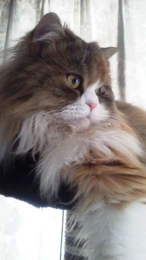 20140331130433.jpg