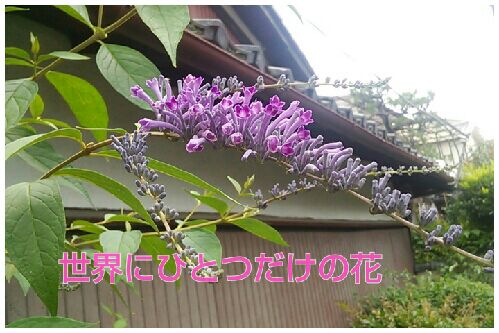 rblog-20160628225800-00.jpg