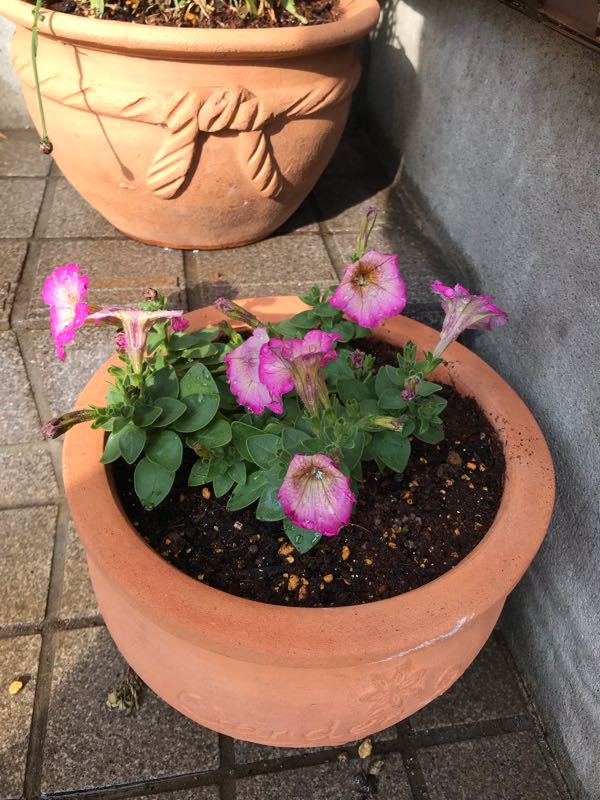 rblog-20190401164627-01.jpg