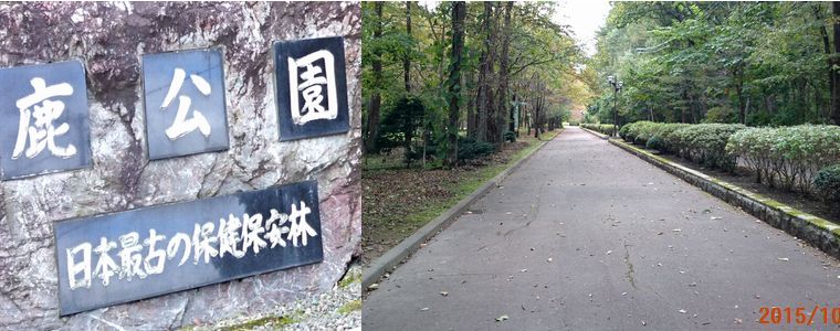 １０／５鹿公園入口.jpg