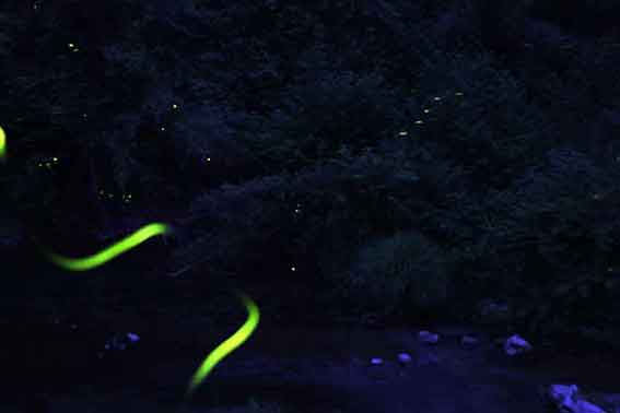 美郷ほたるまつり-09♪