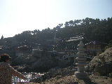 SSCN4049.JPG
