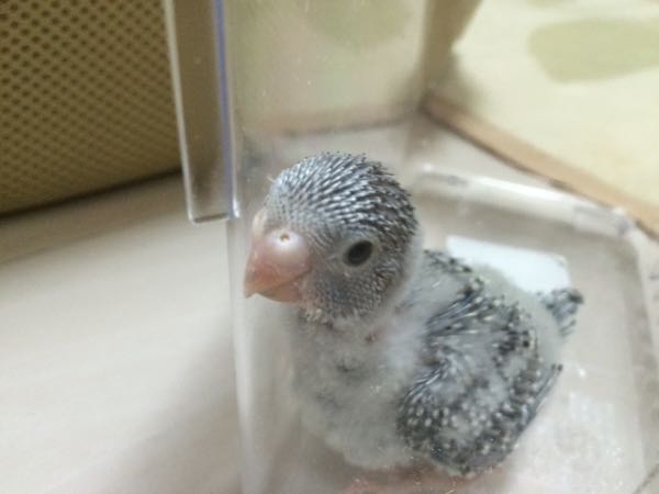 rblog-20150409143041-03.jpg