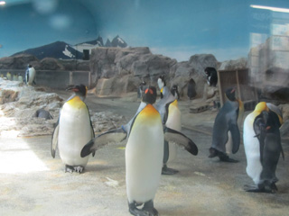 0824_7153.jpg